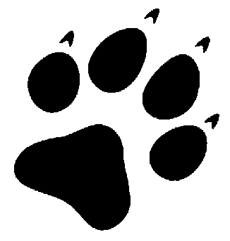 AGROPECUÁRIA PASSO DO LOBO