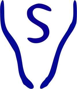 FAZENDA BARRA MANSA-RIO SEPOTUBA