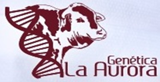 FAZENDA LA AURORA