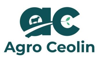 FAZENDA SÃO FRANCISCO(AGROCEOLIM)