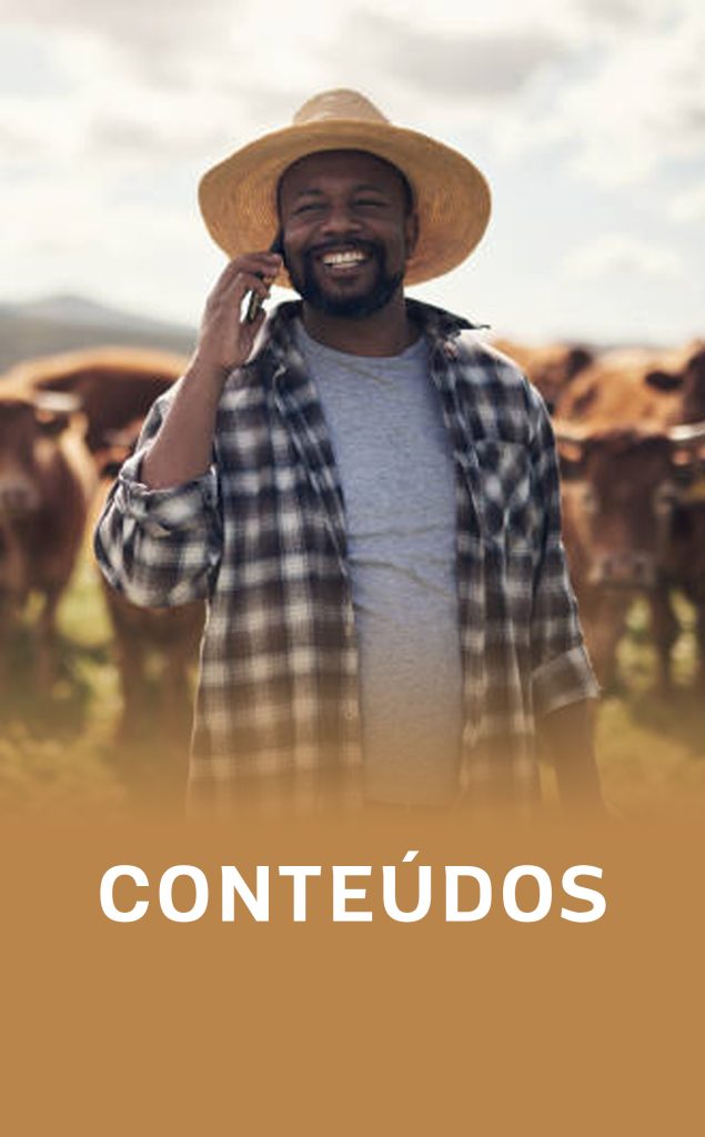 conteudos