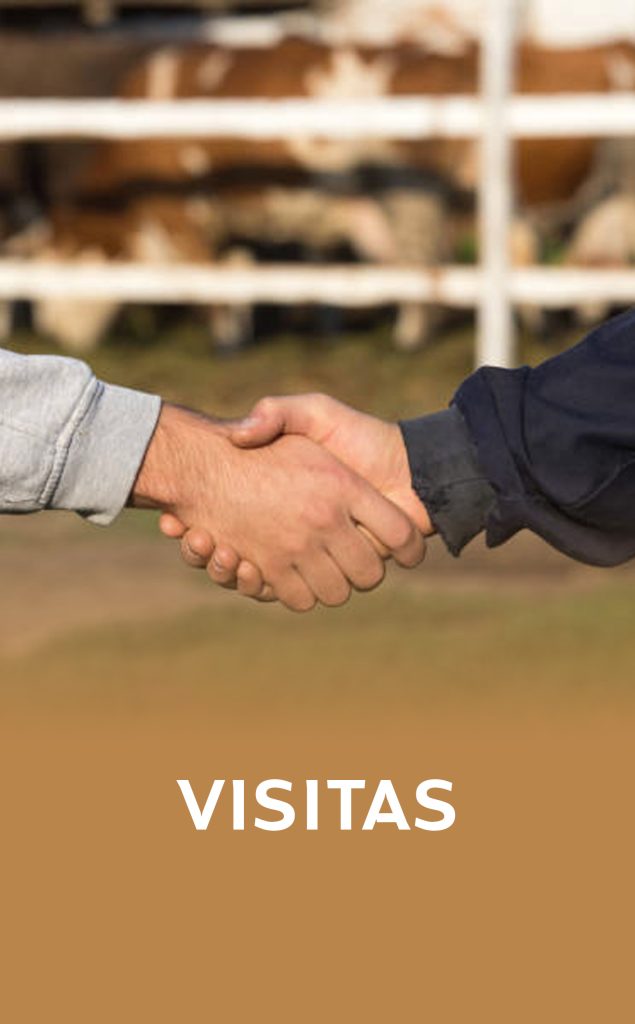 visitas